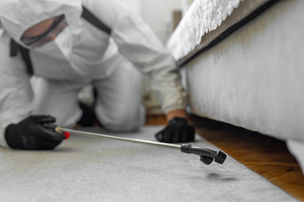 Professional Pest Control technician working in Wichita County County, KS